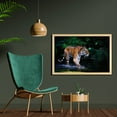 thumbnail image 2 of Safari Wall Art with Frame, Tiger in Water Stream Hunting Danger Trees Tropical Pond Hiding Captive, Printed Fabric Poster for Bathroom Living Room, 35" x 23", Green Orange Brown, by Ambesonne, 2 of 2