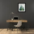 thumbnail image 3 of Carpentieri, Natalie 15x18 Black Ornate Wood Framed with Double Matting Museum Art Print Titled - Aruba Cacti, 3 of 4