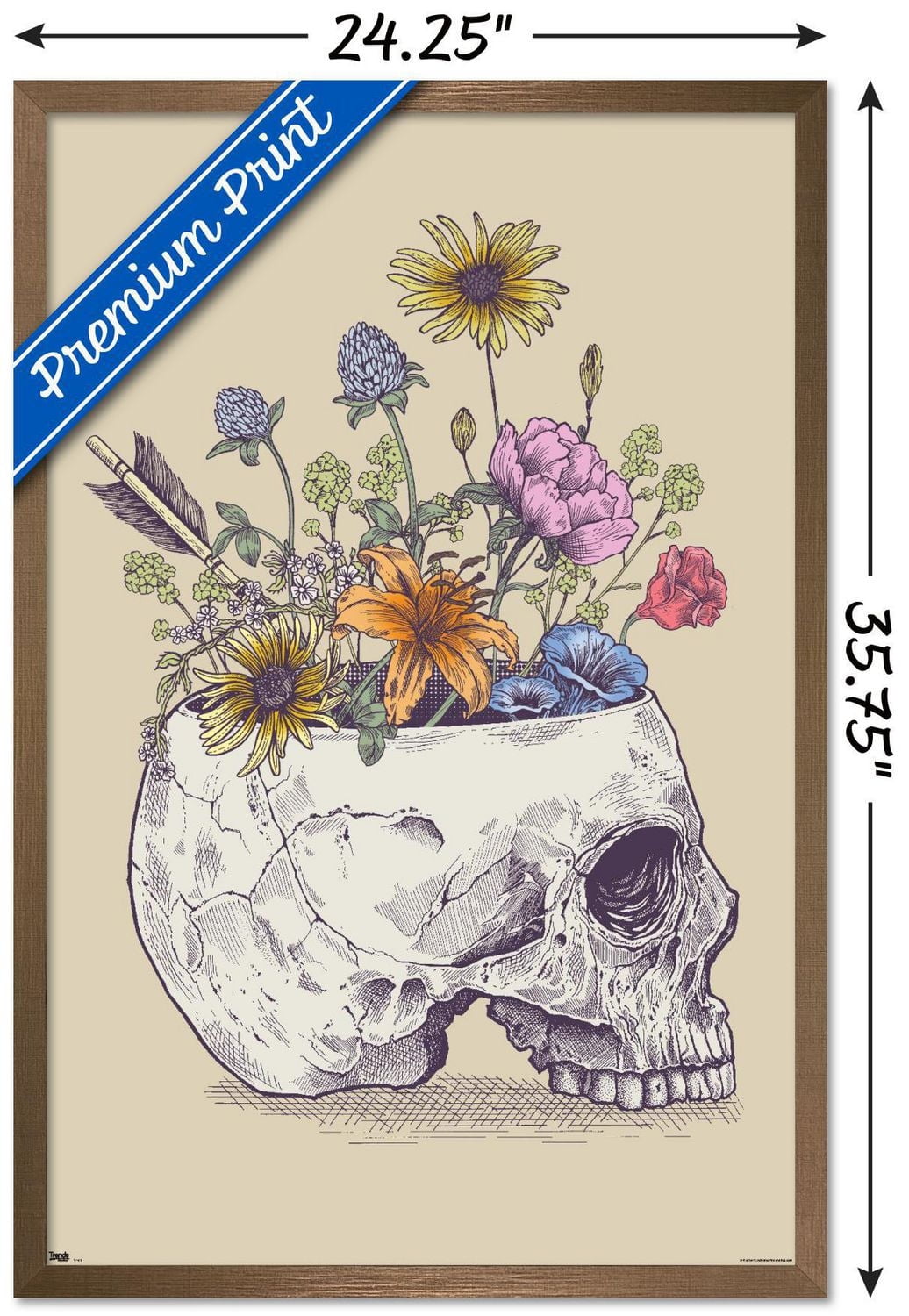 Rachel Caldwell - Flower Skull Wall Poster, 14.725" x 22.375" Framed