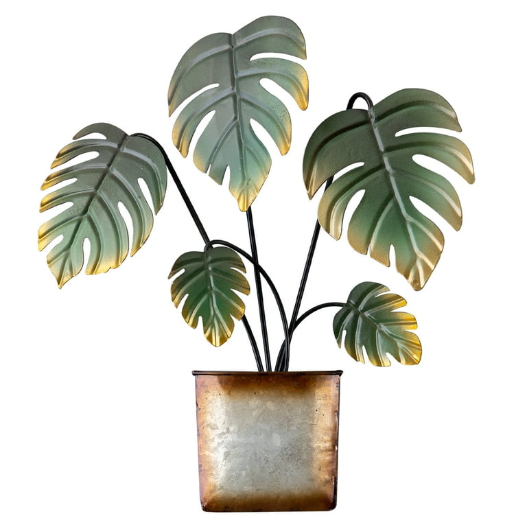 giant philodendron Philodendron Ornatum Giant Silver main image 0