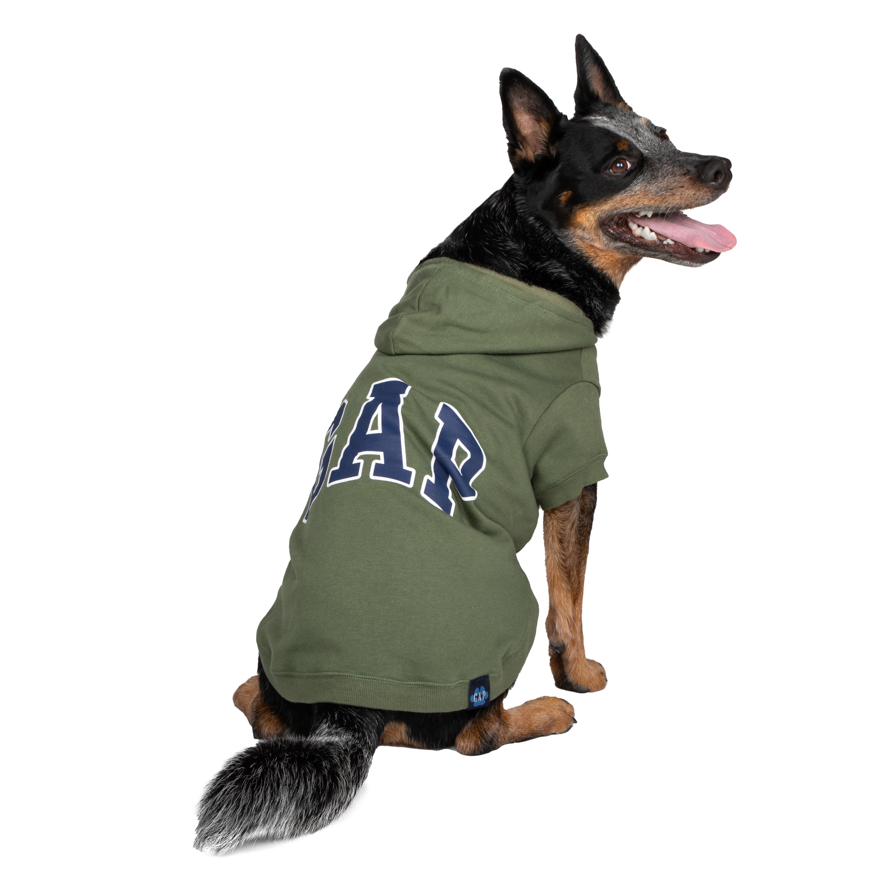 Gap dog clothes deals