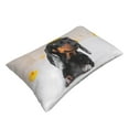 thumbnail image 3 of Naloa Dachshund Sitting in Bathtub Pillowcase, Throw Pillowcase, Wrinkle-Free, Stain-Resistant with Hidden Zipper for Bedroom Sofa - 16"x24", 3 of 9
