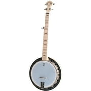 Deering Goodtime Two Banjo