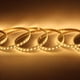 thumbnail image 1 of JWJ MANGUERA LED 2 LINEAS 50 METROS LUZ CALIDA Lluminario de tira, 1 of 5