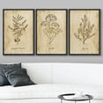 thumbnail image 2 of wall26 Framed Canvas Print Wall Art Set Vintage Retro Plant Herb Seasonings Nature Floral Illustrations Modern Art Rustic Botanical Relax/Calm for Living Room, Bedroom, Office - 24"x36"x3 B, 2 of 5