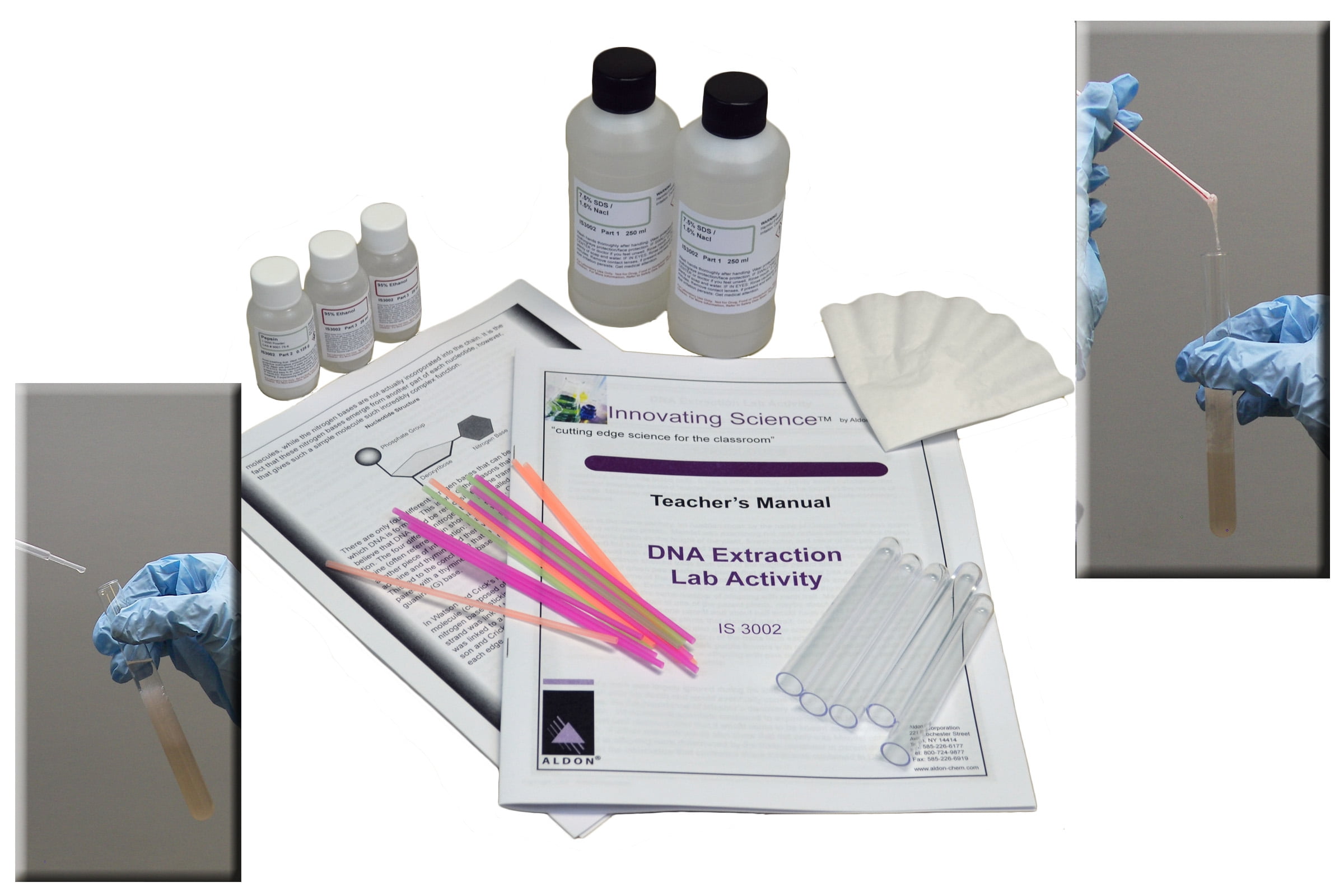 Buy Innovating Science DNA Extraction Kit Online in India. 962459037