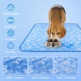 thumbnail image 6 of Aship Dog Cooling Mat, 36'' x 27'' Self-Cooling Mat for Dog, Arc-Chill Cooling Fiber & Color Changing Pet Pad for Hot Summer, Washable Non-Toxic & Foldable, 6 of 10