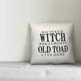 thumbnail image 2 of Creative Products A Wicked Witch and Grumpy Toad 18x18 Spun Poly Pillow, 2 of 2