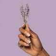 thumbnail image 3 of Poo Pourri Lavender Vanilla 8 oz, 3 of 7