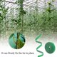 thumbnail image 2 of BRILLAR Brida para cables de nailon reutilizable, 200cm x 1cm, cuerda adhesiva para jardinería, correa de almacenamiento de encaje para plantas, correas multiusos, accesorios de bricolaje, 2 of 5