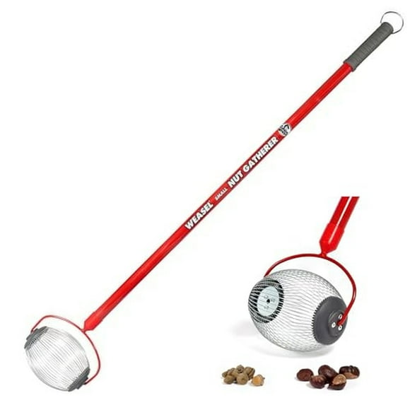 NutSnap Collector: Efficient Acorn & Nut Picker