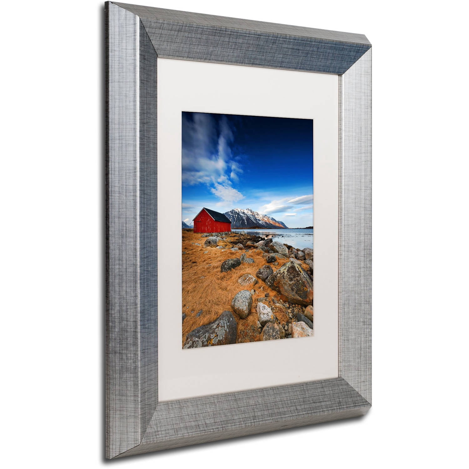 Trademark Fine Art "Endure" Canvas Art by Philippe Sainte-Laudy, White Matte, Silver Frame