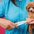 thumbnail image 3 of Electric Paw Care Tool - USB Rechargeable - LED Light - For Dogs & Cats, 3 of 3