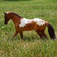 thumbnail image 3 of Breyer Horses The Freedom Series - Red Dun Pintaloosa, 3 of 5