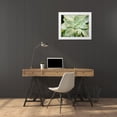 thumbnail image 3 of Johnson, Jason 32x26 White Modern Wood Framed Museum Art Print Titled - Spring Succulent II, 3 of 4