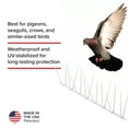 thumbnail image 4 of Bird B Gone Enviro Spike Clear Plastic Bird Spikes (6 ft), Bird Deterrent for Pigeons, 4 of 6
