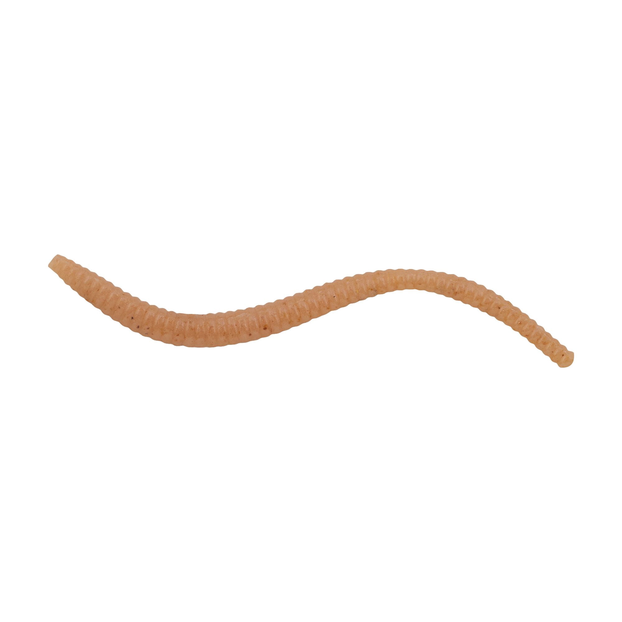 (2 pack) Berkley PowerBait® Power® Floating Trout Worm, 3 in, Natural