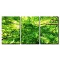 thumbnail image 2 of wall26 - 3 Piece Canvas Wall Art - Sunrays Shining Through Green Leaves of High Treetops in a Beech Forest - Modern Home Art Stretched and Framed Ready to Hang - 16"x24"x3 Panels, 2 of 4