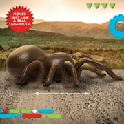 Discovery Kids RC Moving Tarantula Spider, Remote-Control Toy for Kids, Realistic Scurrying Movement, Glowing Scary Red LED Eyes
