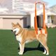 thumbnail image 1 of Arnés de asistencia naranja para perros (talla S: cintura 28-36 cm, circunferencia de la pierna 17 cm), arnés de soporte de malla para elevación de perros, arnés de equilibrio deportivo para rehabilit, 1 of 5