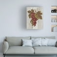 thumbnail image 2 of Trademark Fine Art 'Autumn Grapes III on Wood' Canvas Art by Silvia Vassileva, 2 of 4