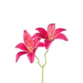 thumbnail image 2 of Decoration Outdoor 50cm Imitation Silk Non Fading Imitation Decorative Items For Gardens Windowsills And, 2 of 8