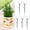 Green 5pc Home Decor, variant on 1 Pack Stackable Monstera Plant Support, Garden Plant Support Stakes for Indoor Outdoor Plants, Climbing Plant Support Structures Plant Holder Stick Moss Pole for Support Tall Potted Plants