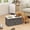 Gray, variant on PawHut Dog Feeding Station w/ Storage Drawer, 2 Elevated Dog Bowls, Multi
