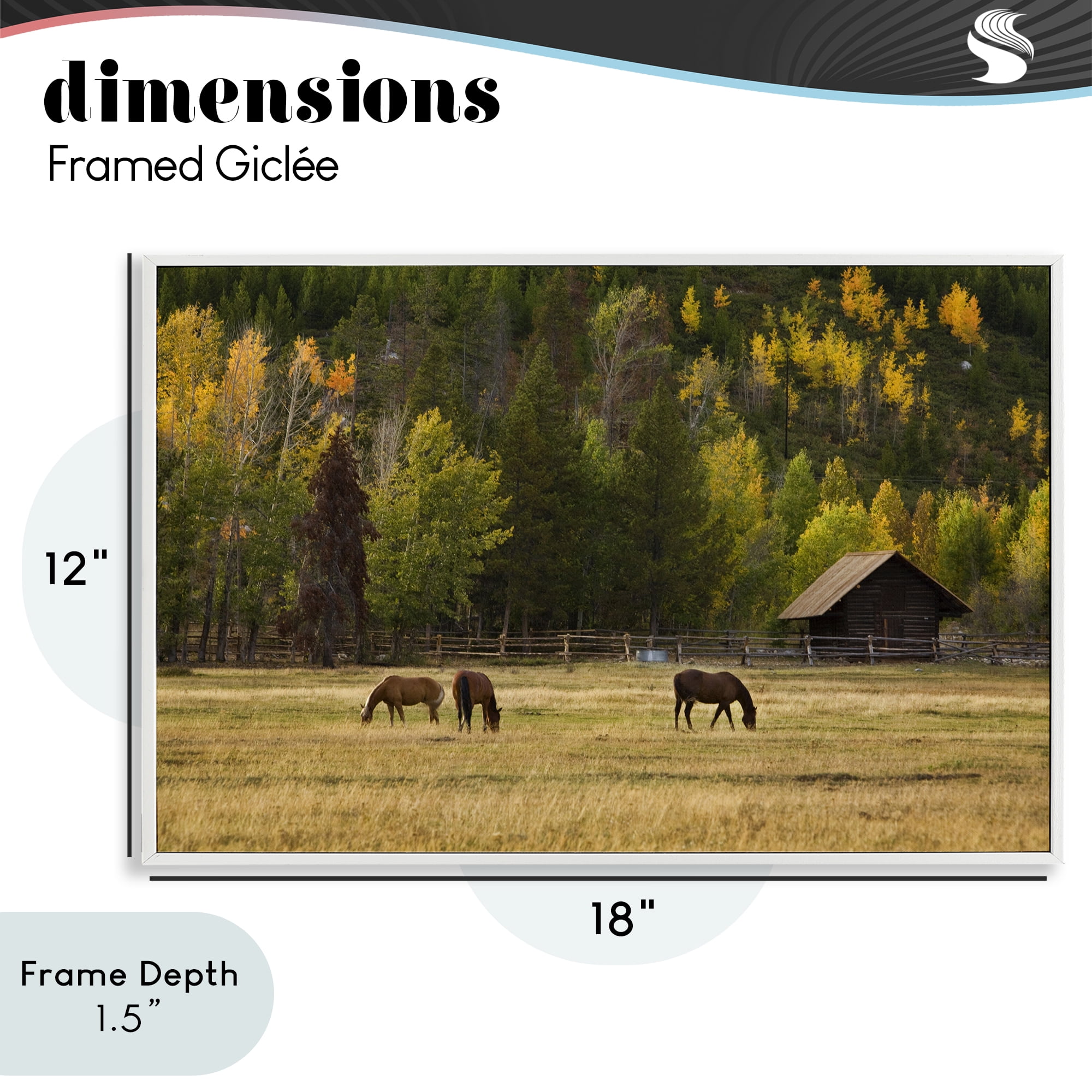 Stupell Industries Horses In Jackson Hole White Framed Giclee Art, design by Scott Stulberg