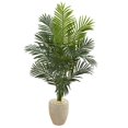 thumbnail image 1 of Nearly Natural 5641 5.5 ft. Paradise Artificial Palm Tree in Sand Colored Planter, 1 of 1
