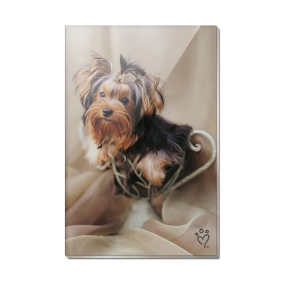 Yorkie Yorkshire Terrier Puppy Dog Satin and Bow Rectangle Acrylic Fridge Refrigerator Magnet