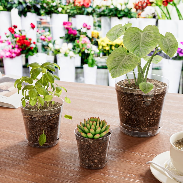 Foukus 30-Pack Clear Nursery Pots with Trays photo 6
