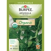 Burpee-Arugula, Rocket Organic Seed Packet