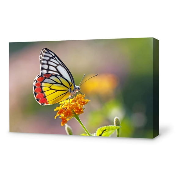 Wall26-Canvas Wall Art-Beautiful Butterfly-Giclee Painting Wall Art for Bedroom Living Room Home Decoration - 12x18 inches