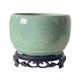 thumbnail image 1 of Las macetas son adecuadas for plantar plantas como orquídeas, cactus y aloe vera., 1 of 5