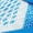 BLUE/WHITE, variant on Girls Boys Shoes Kids Tennis EZ-Ons Quicksteps School Sneakers Breathable Running Athletic Shoes