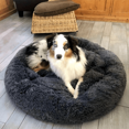 thumbnail image 4 of Scmkd Plush Pet Bed, Donut Dog Bed Round Cat Cushion Bed, Warm Pet Bed For Indoor Dogs & Cats, 4 of 10
