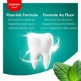 thumbnail image 2 of Colgate Cavity Protection Fluoride Toothpaste, Winterfresh, 95 mL, 2 of 4