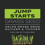 Scotts Turf Builder Triple Action Built For Seeding, 4.3 lbs.
