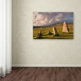 thumbnail image 3 of Trademark Fine Art "Merrivale Stones" Canvas Art by Adam Burton, 3 of 3