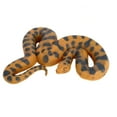 thumbnail image 1 of BELOVING Animal Figures Cognitive Toy Small for Desktop Decor Tricks Prop Party Favors, 1 of 10