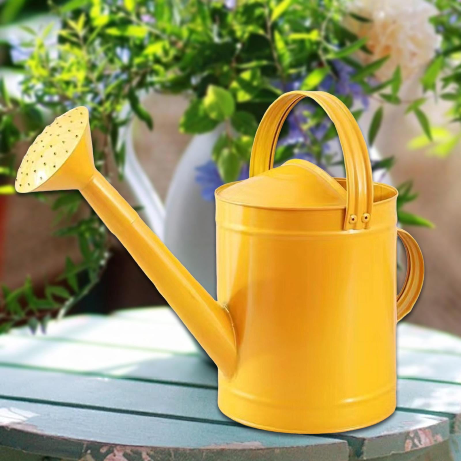 YWMJZEU 4L Watering Can with Handle, Leak, Removable Spout, Garden Tool, Rust-Resistant, golden
