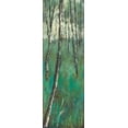 thumbnail image 2 of Solis, Luis 7x14 White Modern Wood Framed Museum Art Print Titled - Natures Companions II, 2 of 4