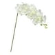 thumbnail image 1 of Flores artificiales de orquídea, plantas de tallo, centro de mesa, flores artificiales para boda Blanco, 1 of 9