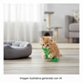 thumbnail image 2 of Juguete para Gato PetStages Gusano con Catnip, 2 of 4