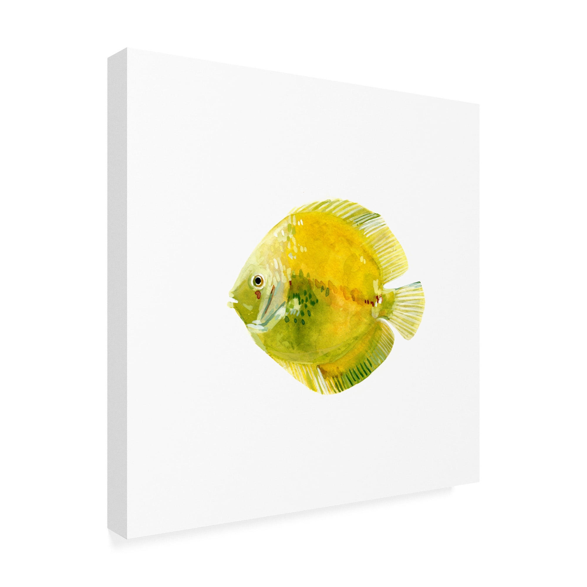 Trademark Fine Art 'Discus Fish I' Canvas Art by Emma Scarvey