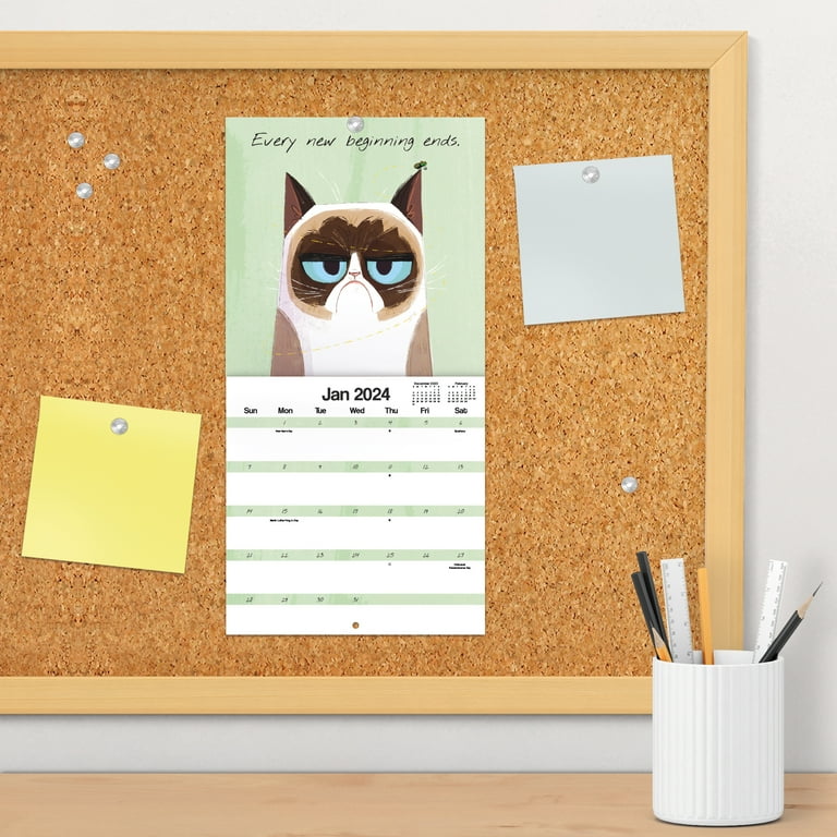 Trends International 2024 Grumpy Cat Mini Wall Calendar & Push Pins & Push  Pins - Walmart.com