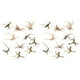 thumbnail image 2 of Mini Driftwood para Acuario Ramas de Madera Natural Decoraciones para Peceras de árbol Driftwood Surtido (Paquete de 30), 2 of 9