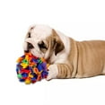thumbnail image 3 of Boules de Pétanque pour Animaux de Compagnie Couleurs Interactives, 3 of 8