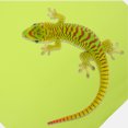 thumbnail image 4 of WEUVEB 1Set EVA Reptile Terrarium Liner for Reptile Pets 200x45cm, 4 of 7